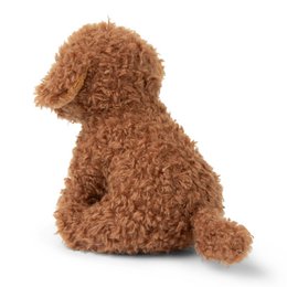 BTC - Stacy the Labdradoodle in gift box - 17 cm -