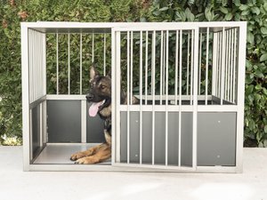 Hondenbox K9 Editie BENNY Super Extra Large