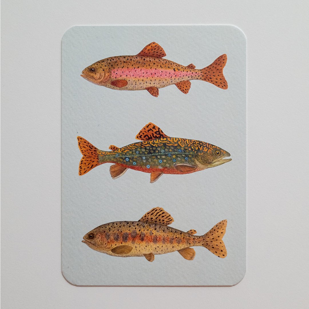 Postcard FISH FRIDAY blue