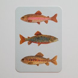 Postcard with colorful fish illustrations, including a blue fish, a speckled fish, and a brown fish. The postcard is part of the "Cards with Pictures" category.