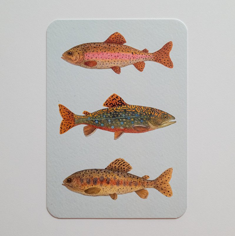 Postal VIERNES DE PESCADO azul