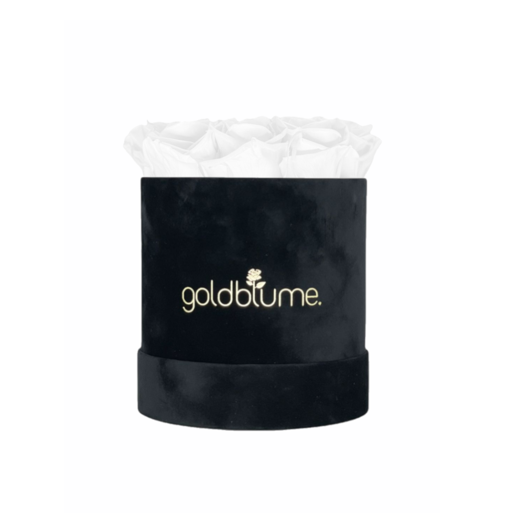 Velvet Black-collectie