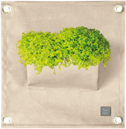 The Green PocketsÂ® AMMA Ivory