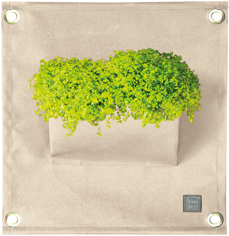 The Green Pockets® AMMA Ivory