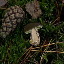 Pin di smalto "Boleto"