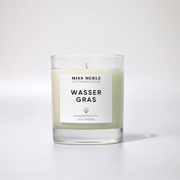 Fragrance candle water grass - ginger & lemon grass