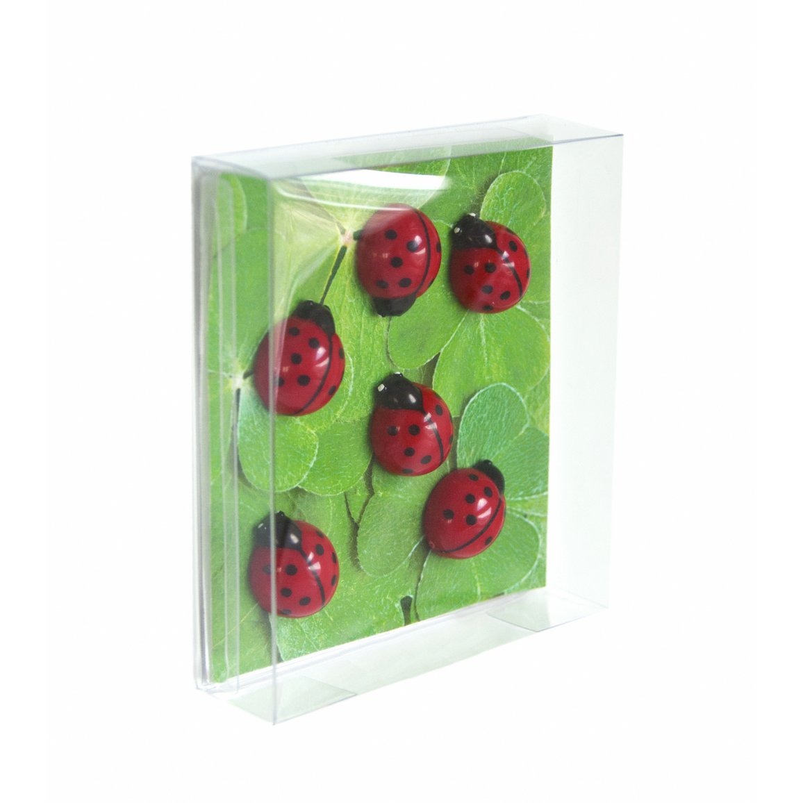 Trendform Magneten Ladybug - Set of 6