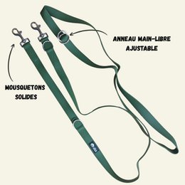 Waterproof multi-position leash Khaki green