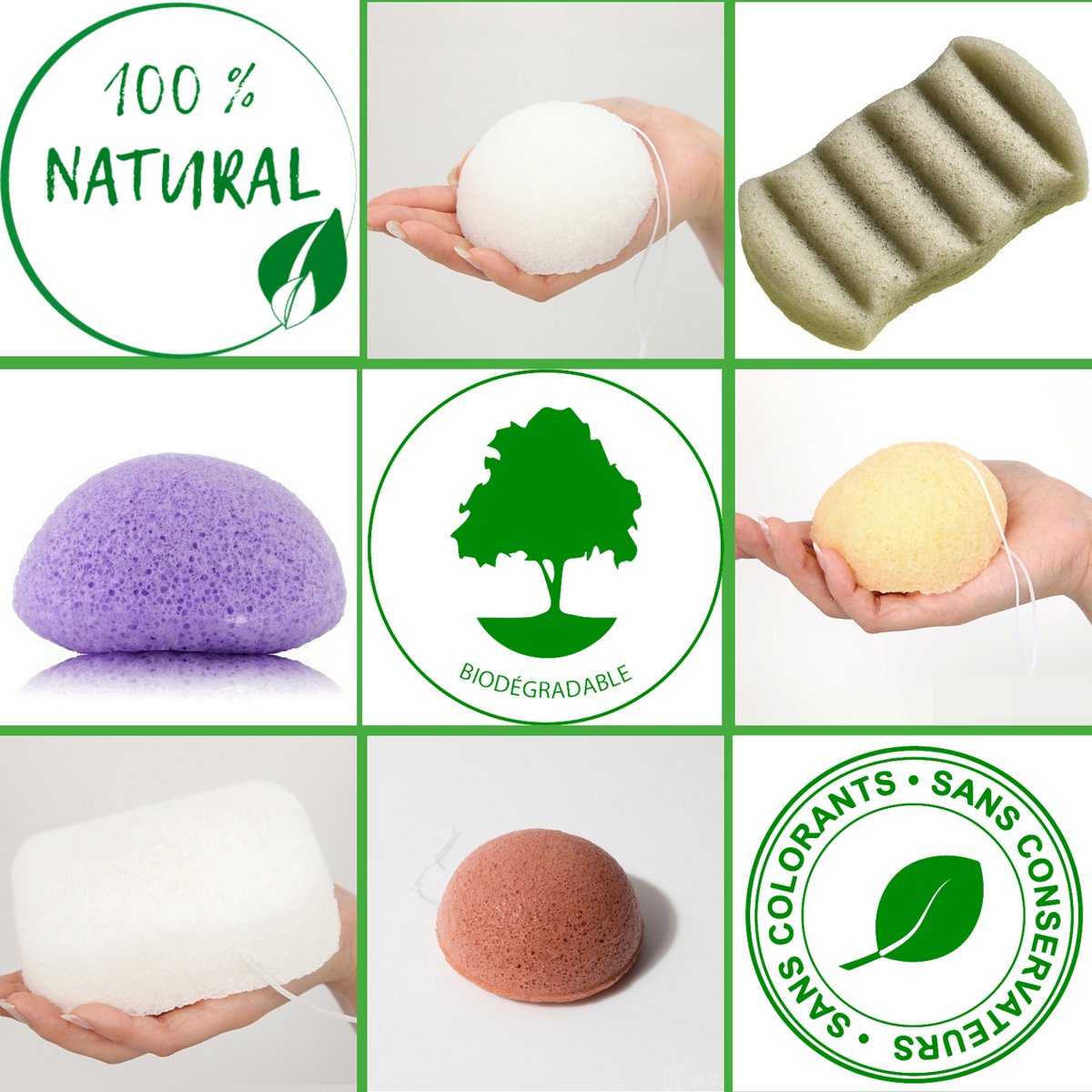 Konjac Gesichtsschwamm Discovery Pack - Box oder Schüttung
