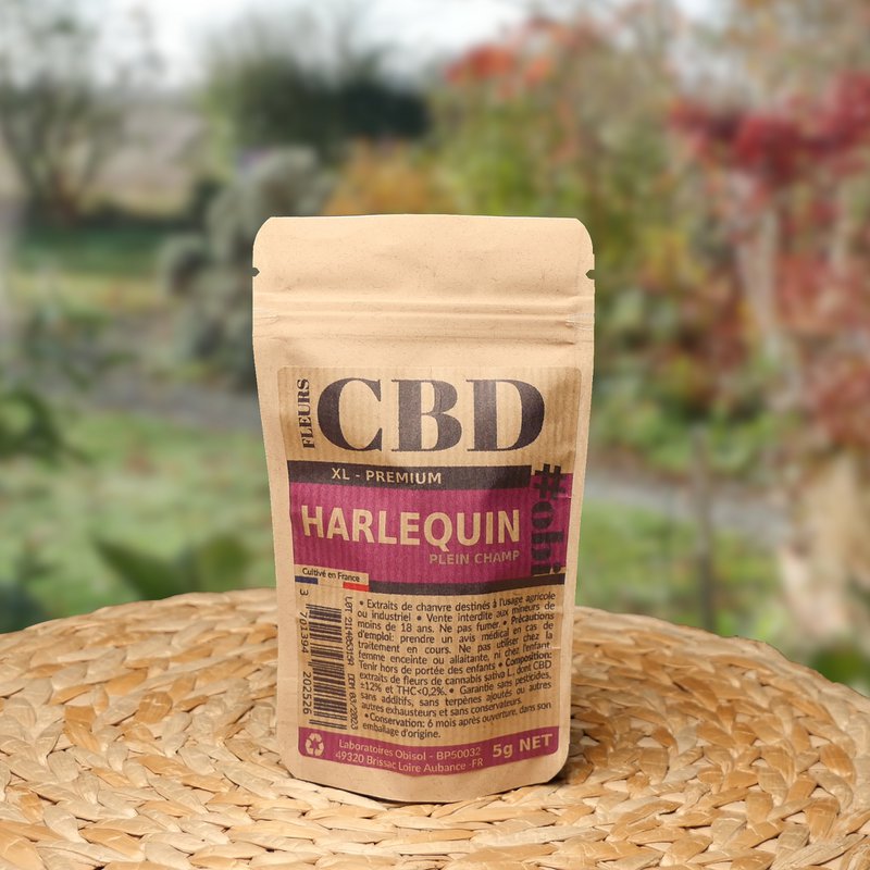 Harlequin XL CBD blomster