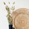 Phalaris natuurlijke gedroogde bloemen