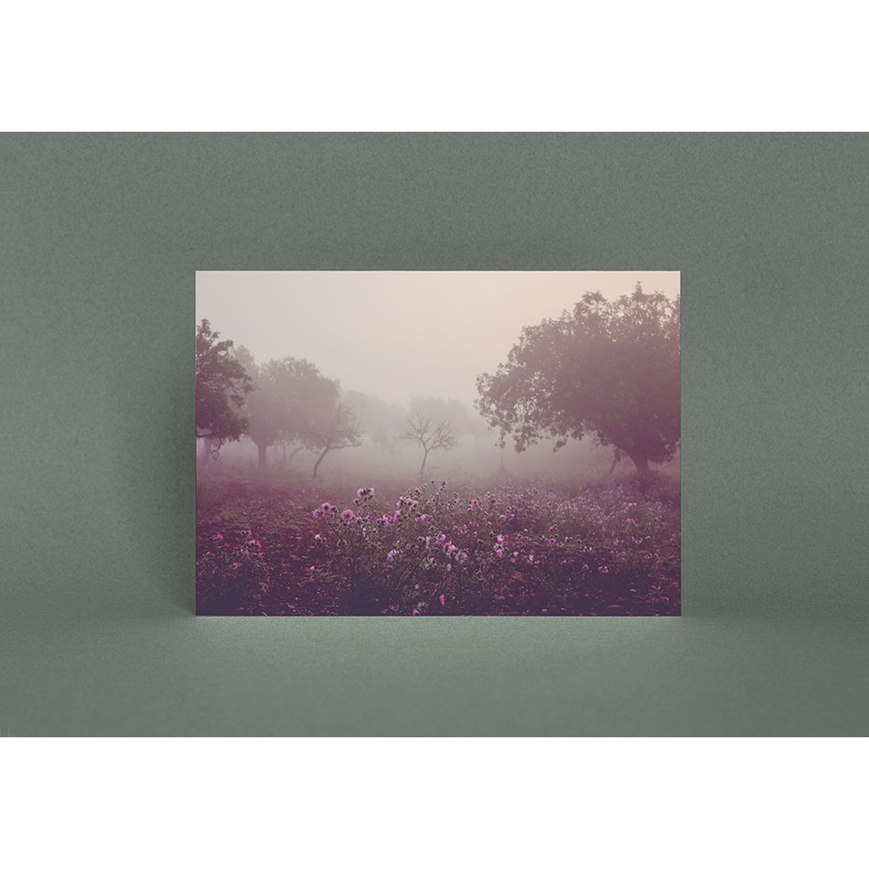 Postkarte Morgenstimmung (PK_054)