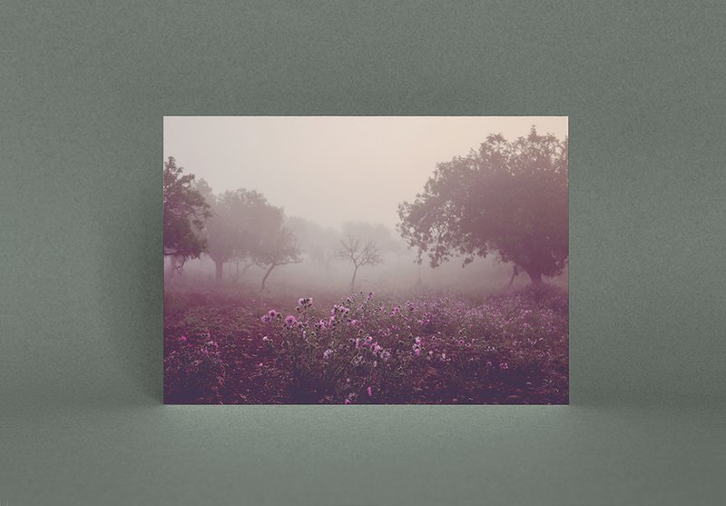 Postkarte Morgenstimmung (PK_054)