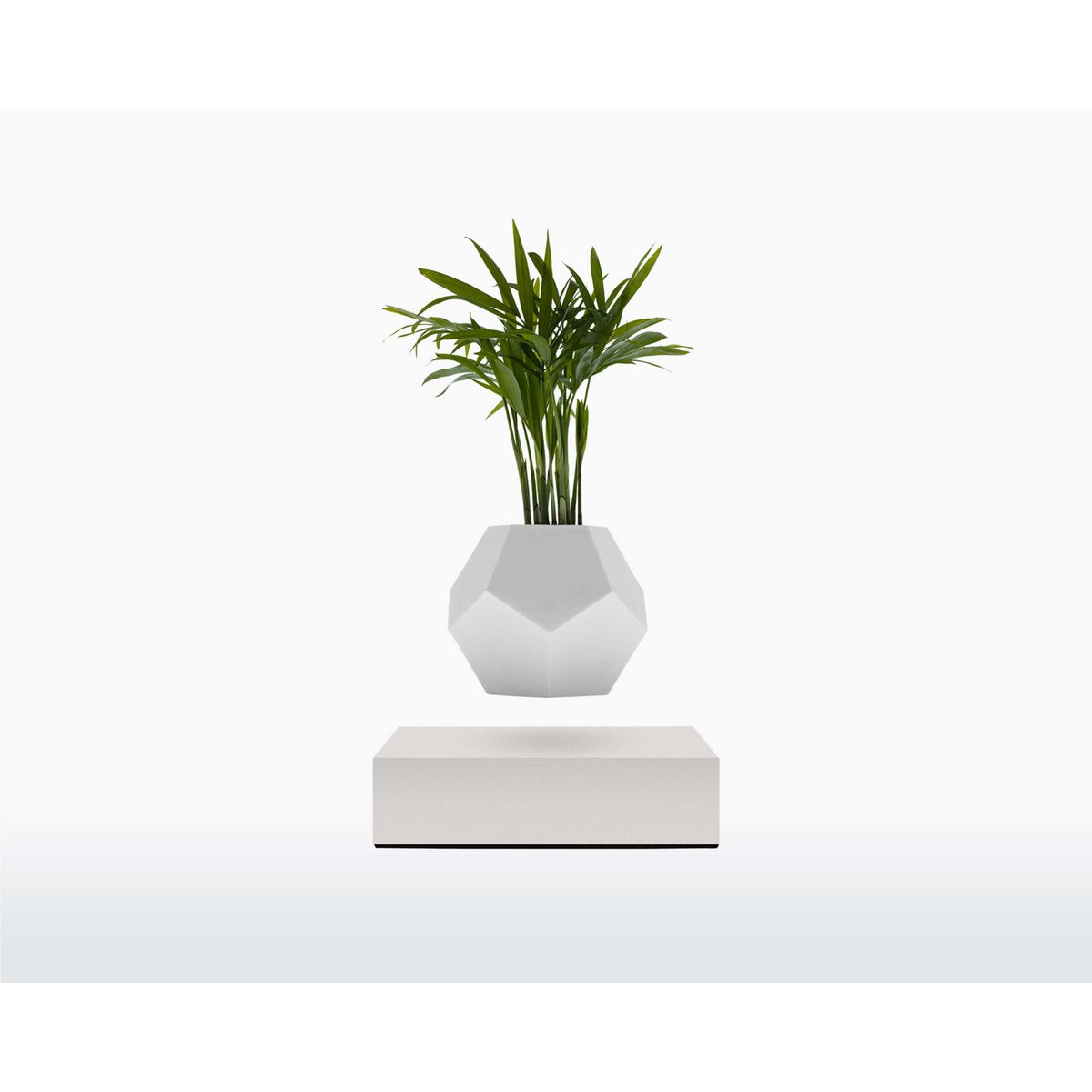LYFE zwevende plantenbak
