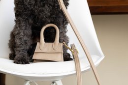 The Dog Musthaves Designer Bag – Belohnungstasche für Hundeleckerlis und Kotbeutelspender – Sand Taupe