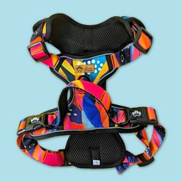 Panache Comfort Y Harness