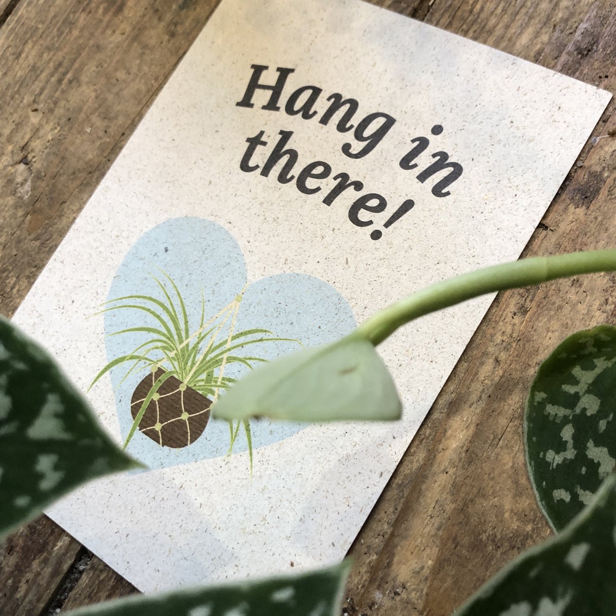 Postcard + Envelope Hang in there!
