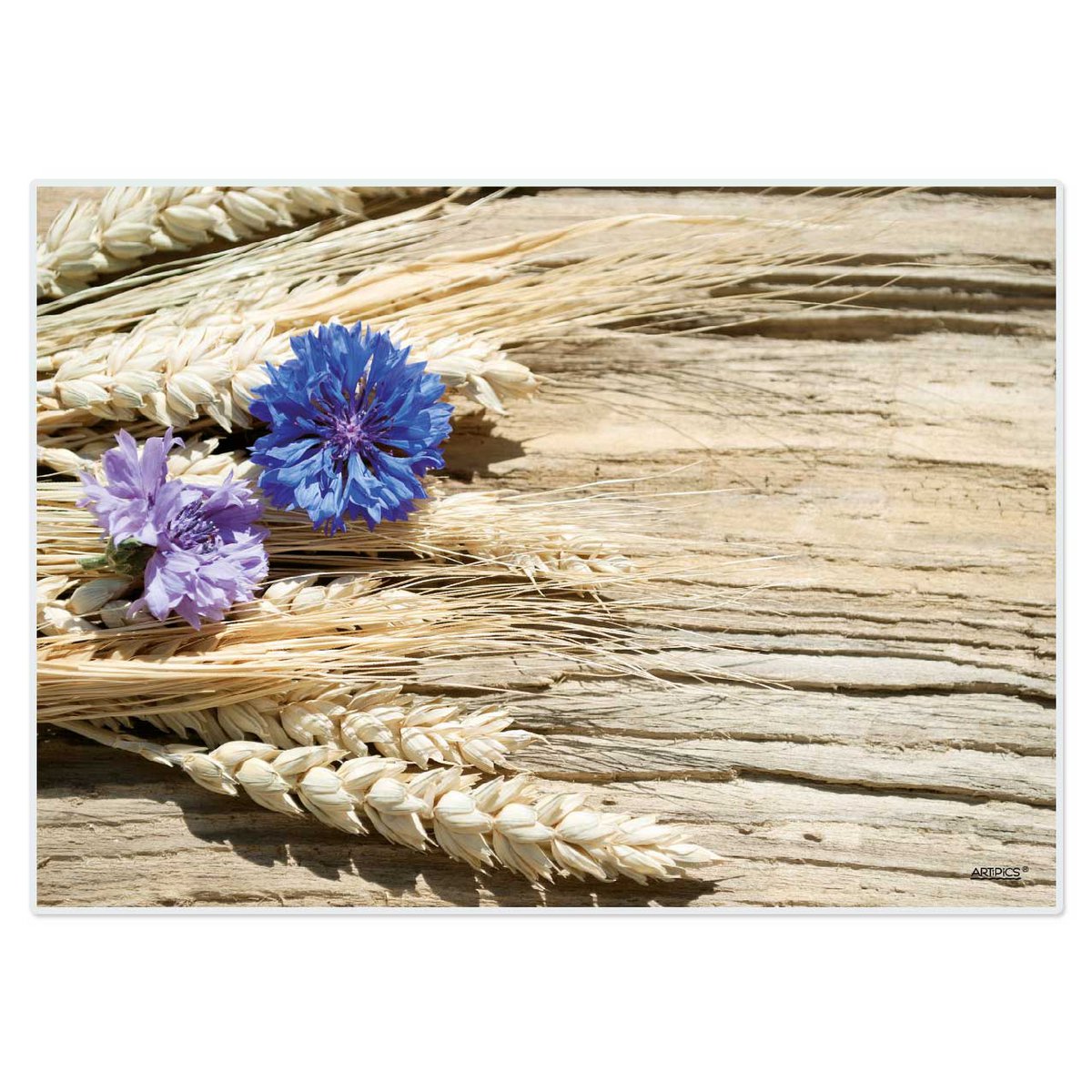 Artipics manteles individuales manteles individuales, 4 piezas, acianos lavables sobre madera flotante, manteles individuales de plástico, 42x30 cm, acianos con mazorcas de maíz, motivo de verano, decoración de mesa natural, estilo rústico