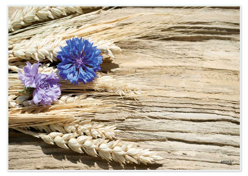 Artipics manteles individuales manteles individuales, 4 piezas, acianos lavables sobre madera flotante, manteles individuales de plástico, 42x30 cm, acianos con mazorcas de maíz, motivo de verano, decoración de mesa natural, estilo rústico