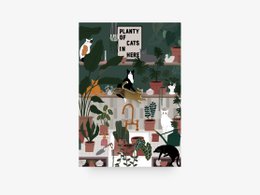 Pin / Planty Of Cats