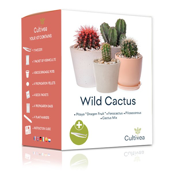 CULTIVEA® Mini Ready to Grow Cactus Kit - Have og dekoration - Gaveidé (Pitaya "Dragon Fruit", Ferocactus, Pilosocereus og Cactus Mix) - Made In France - DIY
