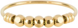 R517 Palm Gold Steel Charmin's
