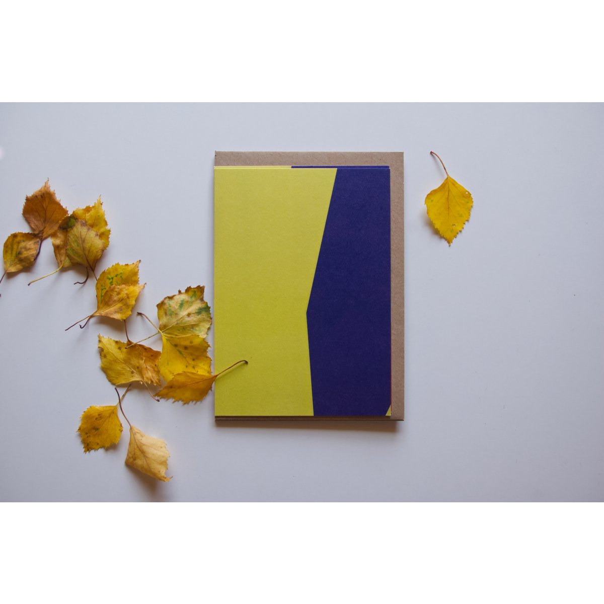 Herbstwind • Ansichtkaartenset