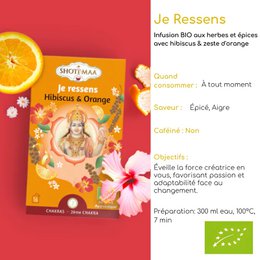 Gamma Chakra di tisane biologiche Je Ressens - Sapori speziati e piccanti - Risveglia i sensi - Ispira creatività, immaginazione e passione