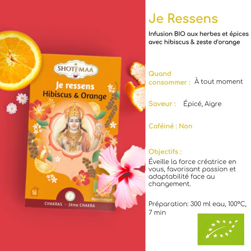 Gamma Chakra di tisane biologiche Je Ressens - Sapori speziati e piccanti - Risveglia i sensi - Ispira creatività, immaginazione e passione
