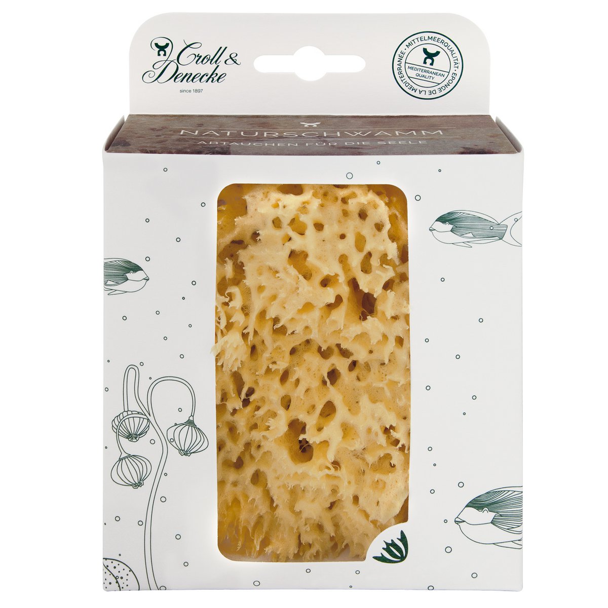 Natural sea sponge in eco gift box, large
