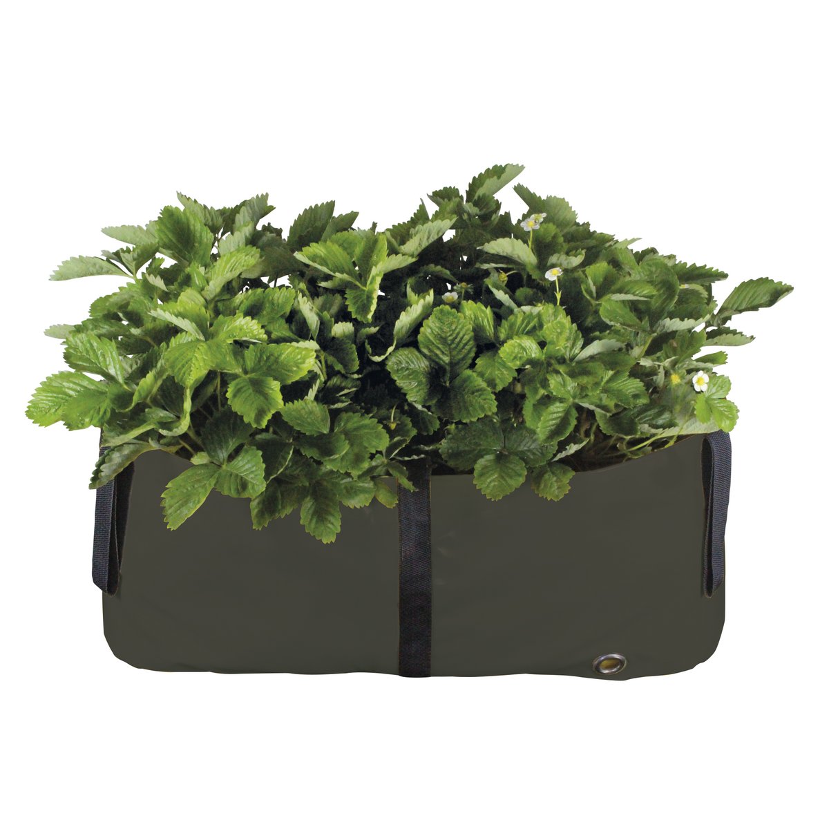Het Groene Blok M