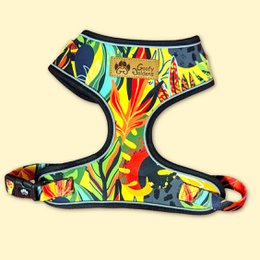Tropical dog harness, vibrant colors, suitable for small to extra-large dogs.
