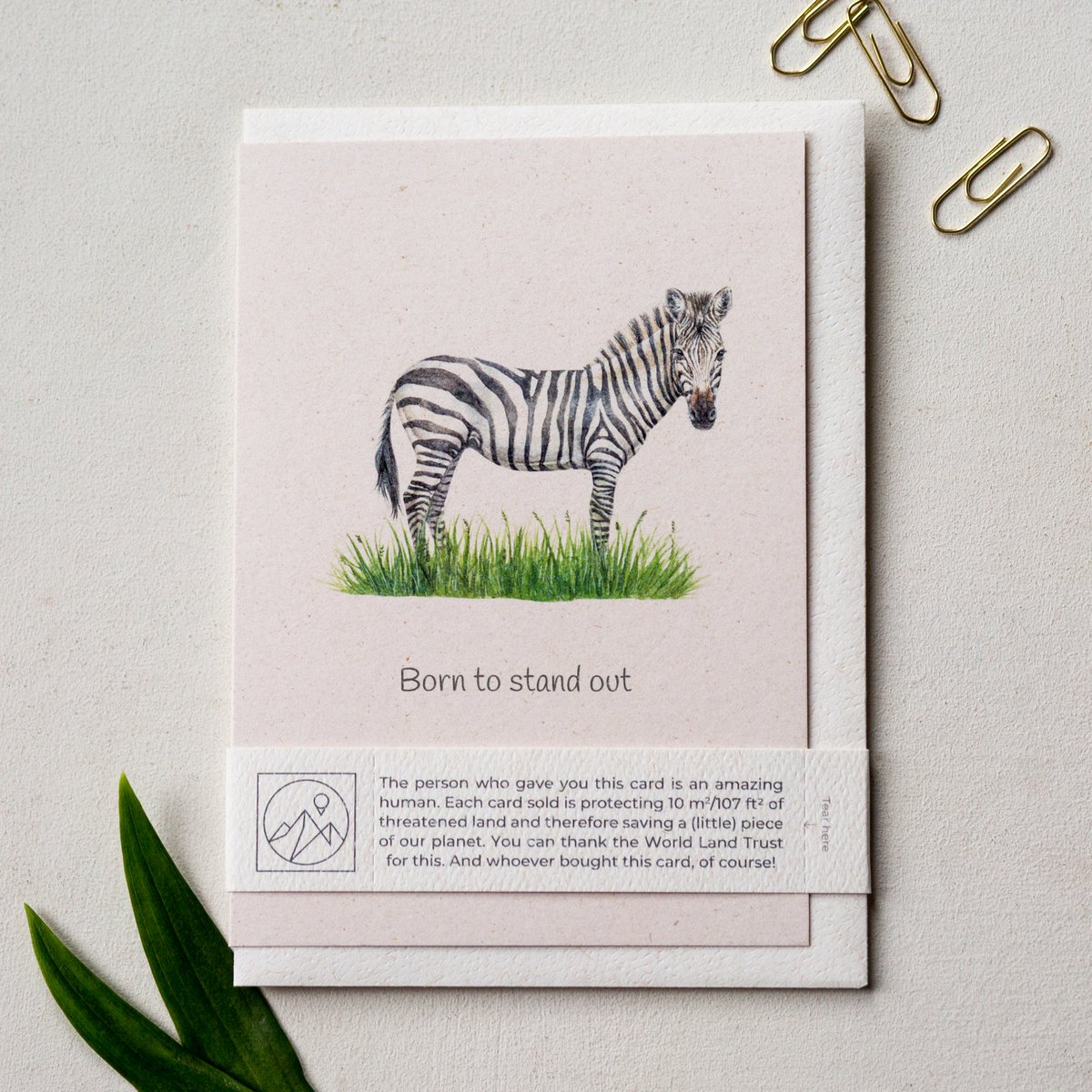 'Born to stand out' Eco-friendly Motivational Card
