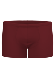 Bordeaux red boys retro shorts, vintage style, elastic waistband, classic fit children's swimwear.