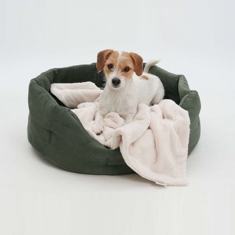 Hundekörbchen Chelsea Cord forest green