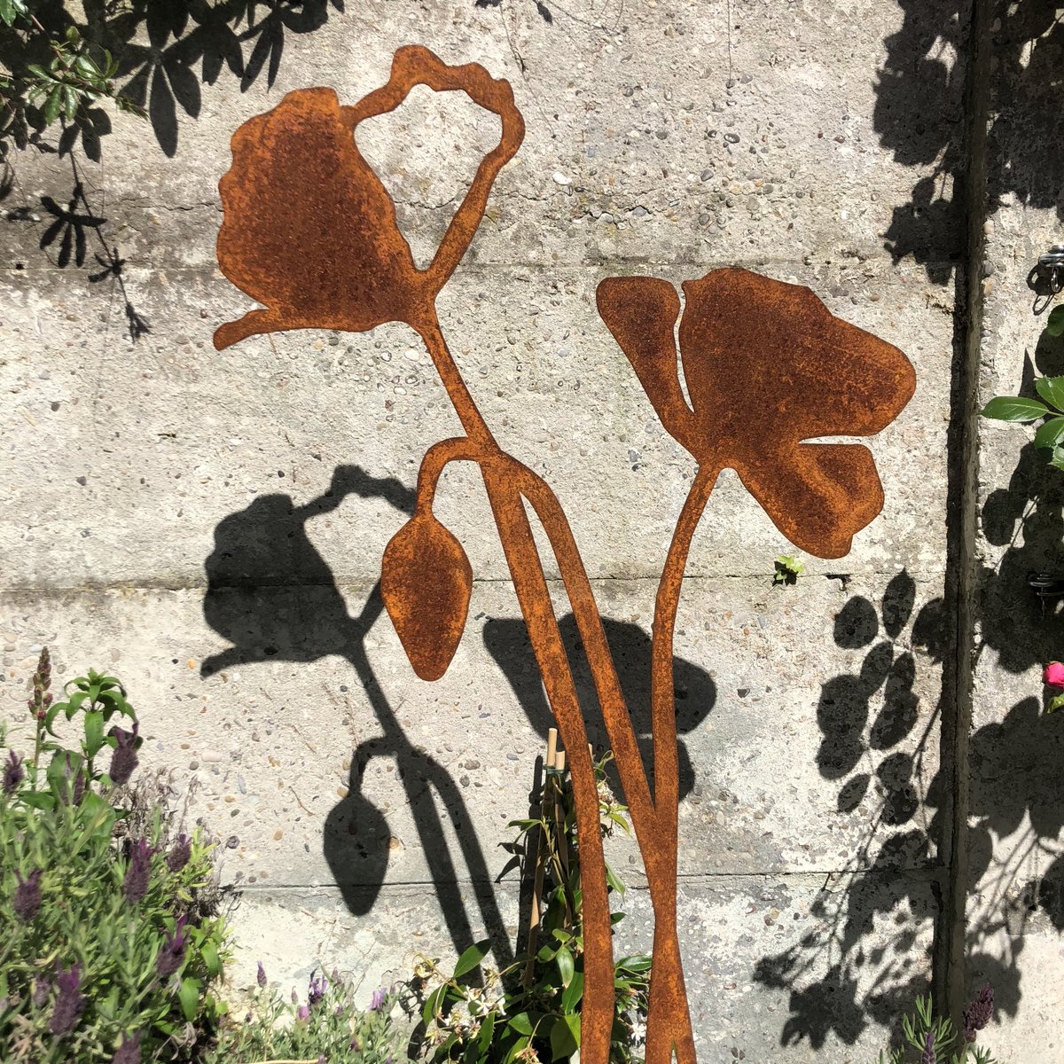 Poppy with flower bud | corten stem