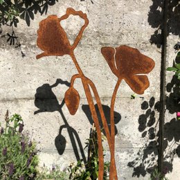 Coquelicot avec bouton floral | tige de corten