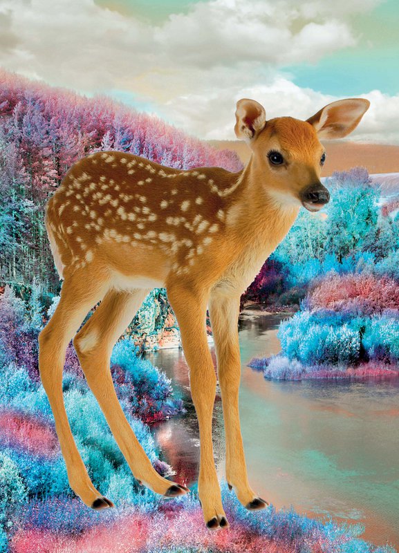 Affiche Nouveau Bambi