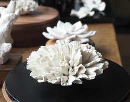 PUDEŁKO CHAN-XL 20cm