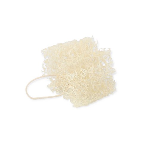 Luffa Geschirrschwamm