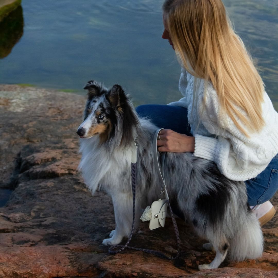 Braid Dog Collar - Moon