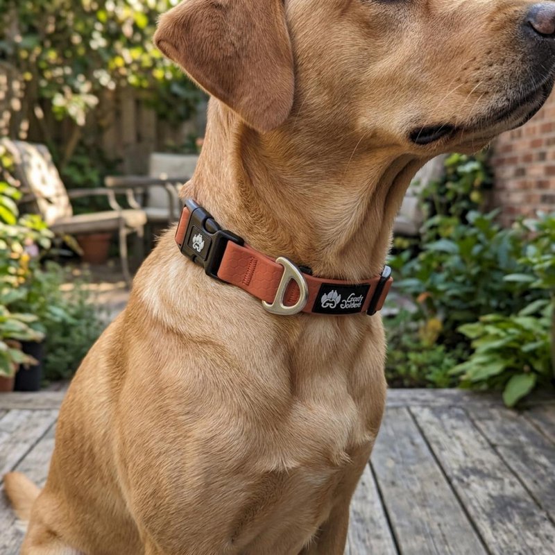 Waterproof collar Ocher