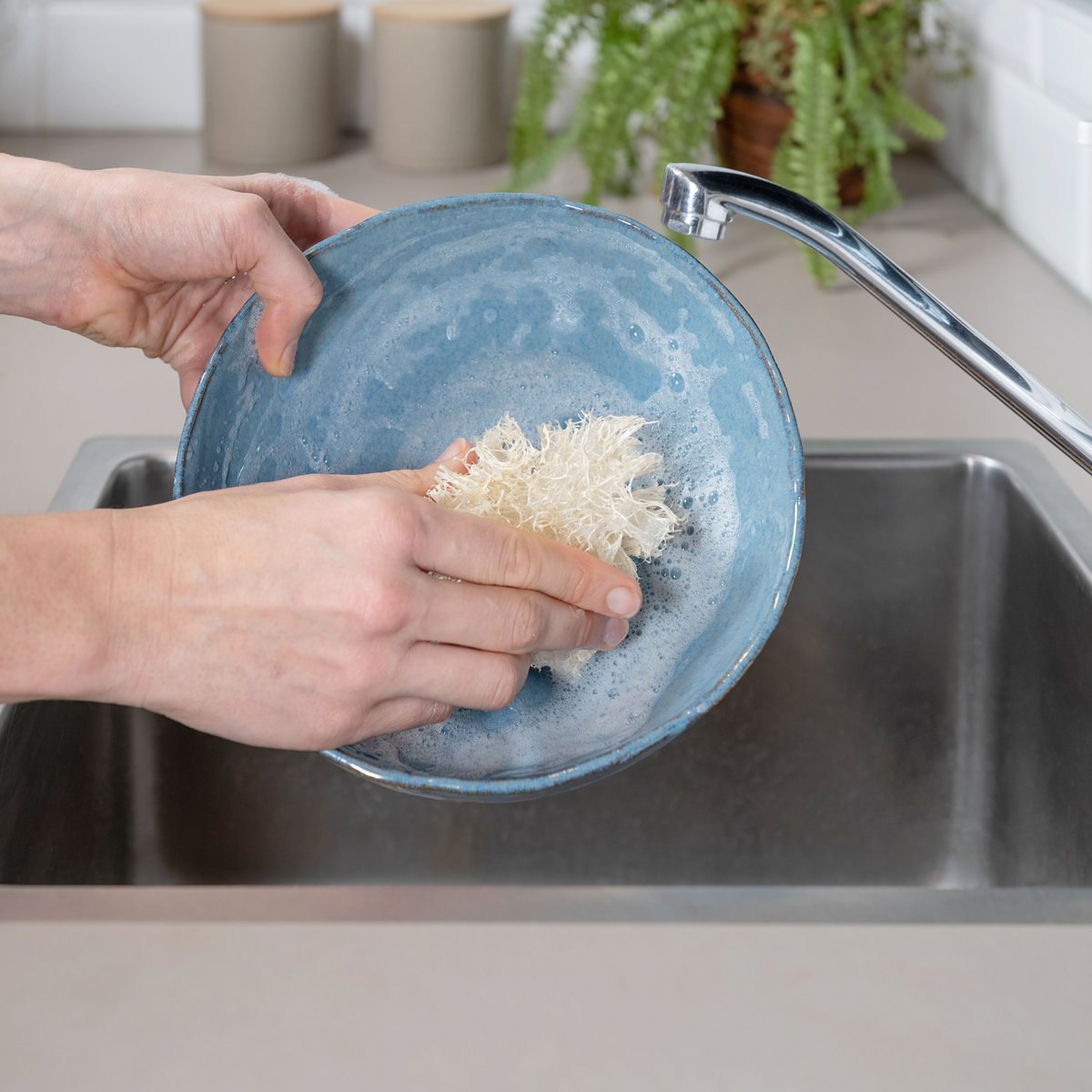 Loofah Schotel Spons