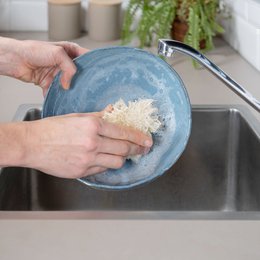 Loofah Dish Sponge
