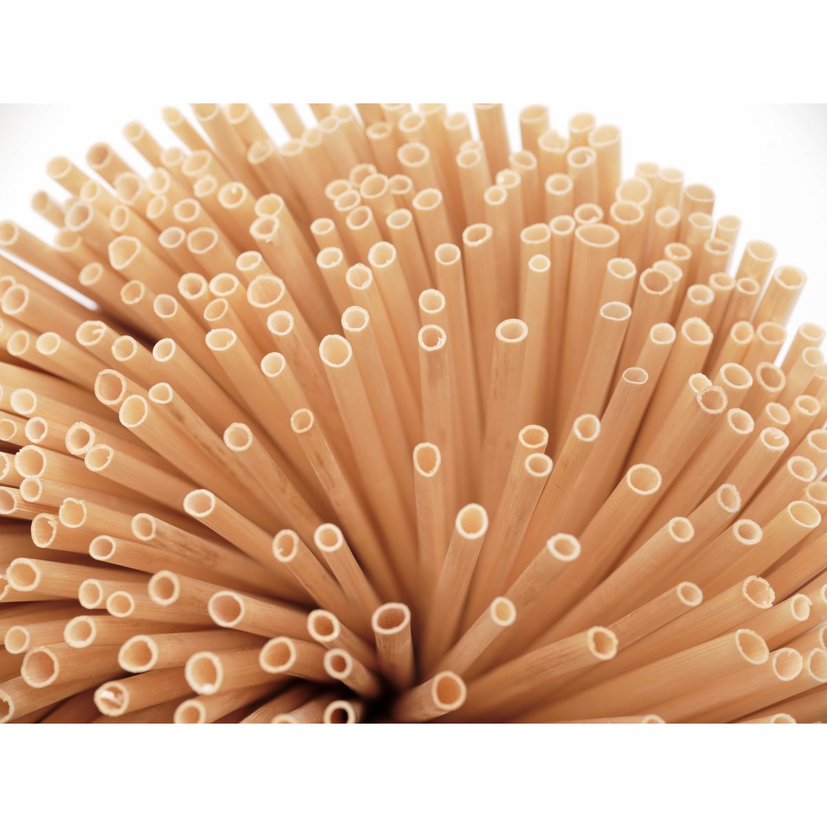 Pailles de blé 500 pièces 15 cm