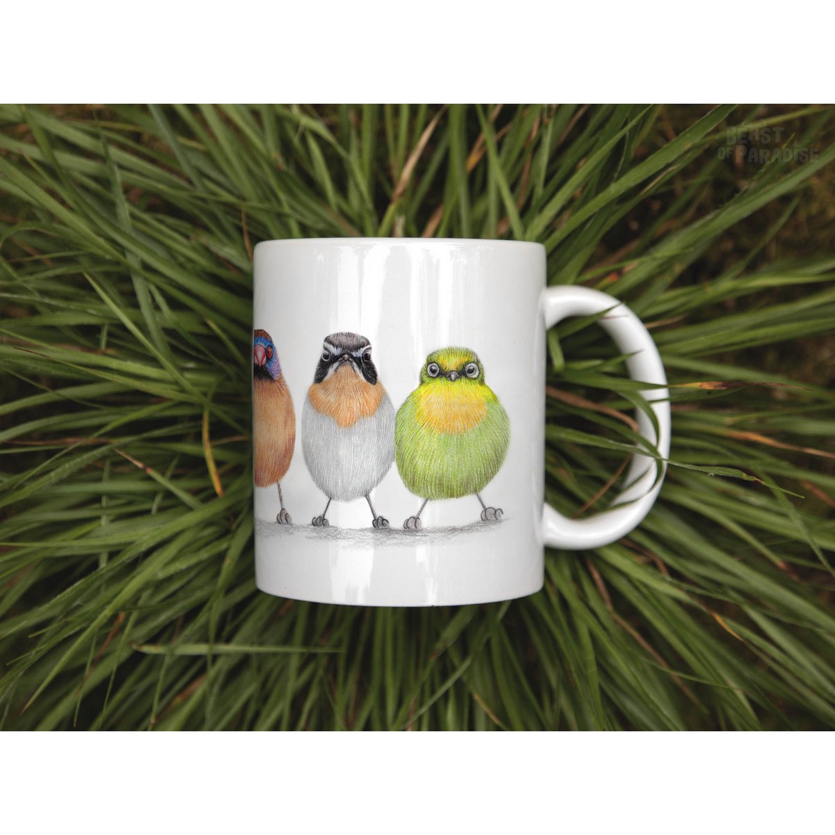 Ceramic Mug, African Birds, Funny Mugs, Animal Mug