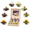 Creano Teelini Geschenkset Holzkiste 12er Sortiment