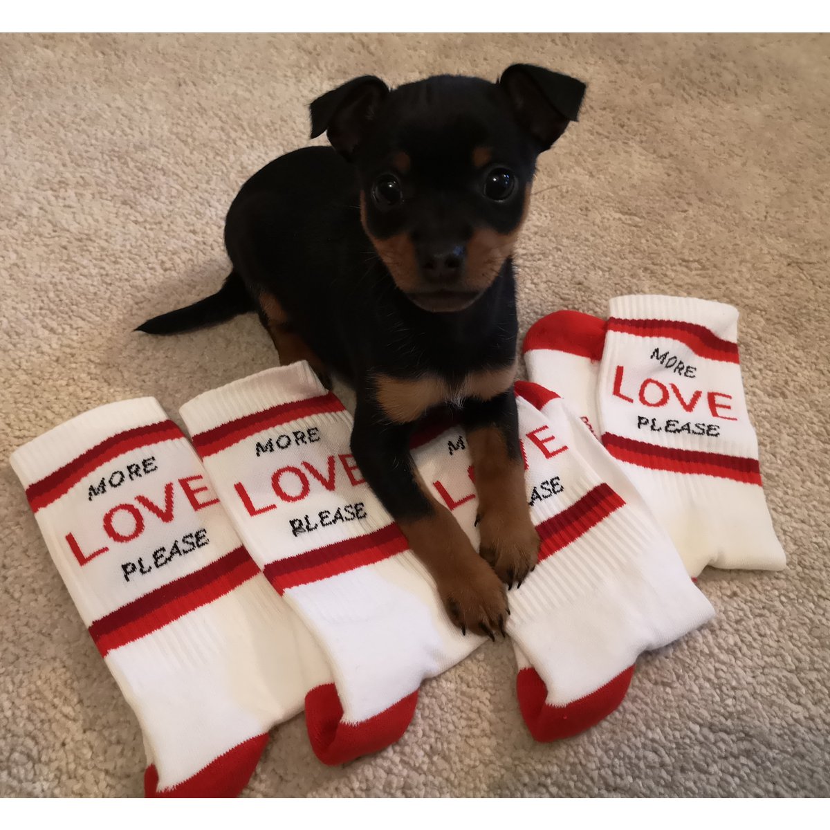 MEHR LIEBE BITTE SOCKEN