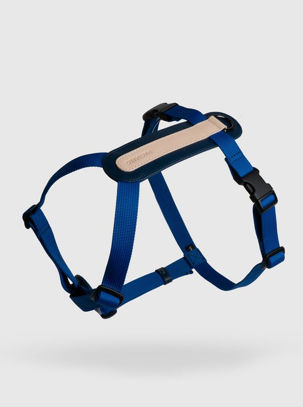 ARCH HARNESS NAVY/GRANDALA BLUE
