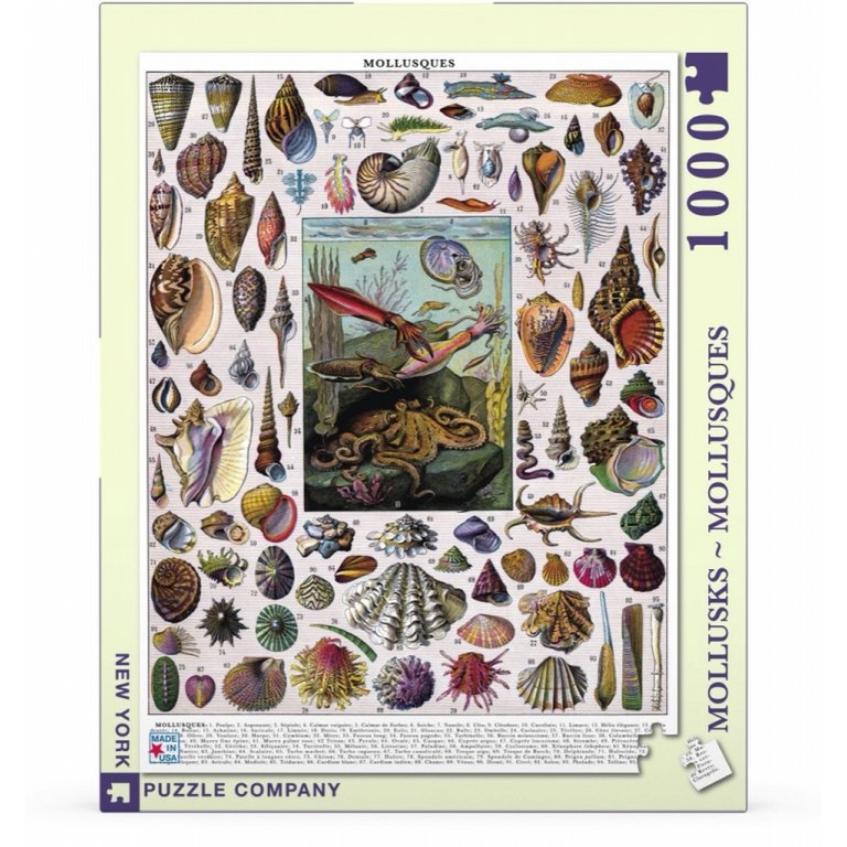 New York Puzzle Company Puzzle Mollusks - 1000 pieces